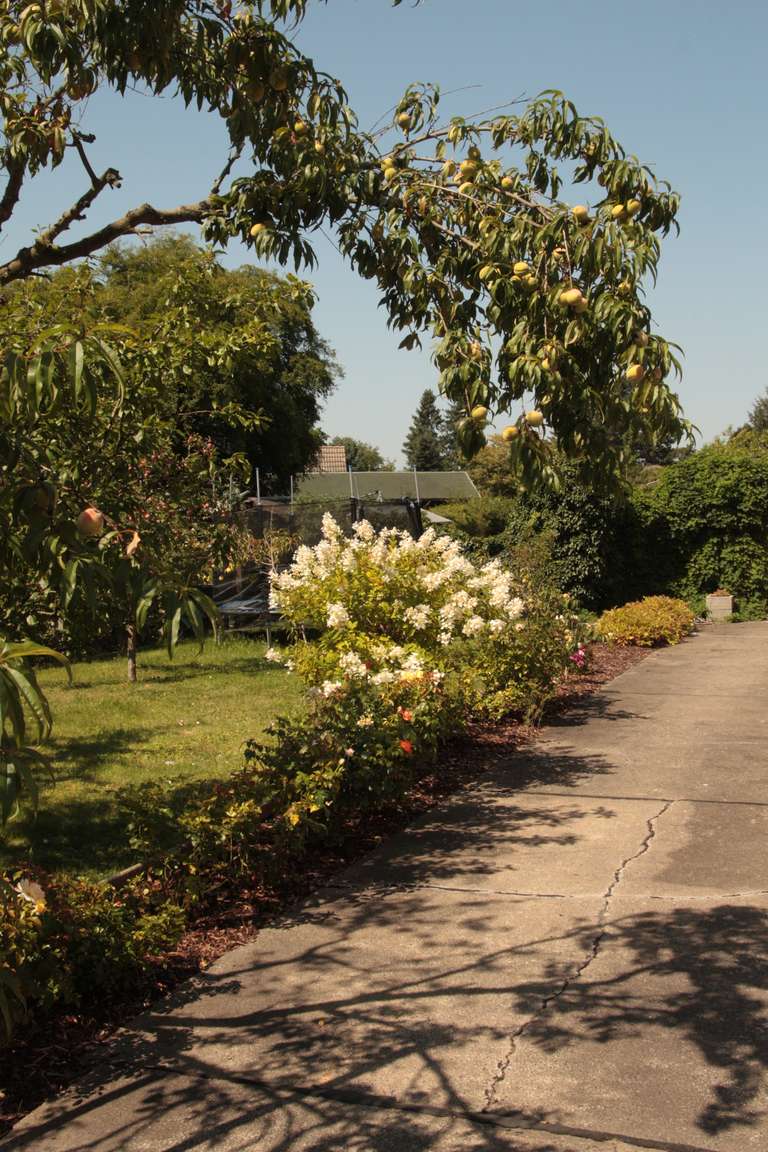 Liebevoll gepflegte Obstbäume und Blumenstauden säumen die Einfahrt