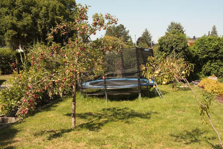 Zwischen den Bäumen steht ein Trampolin zum Toben