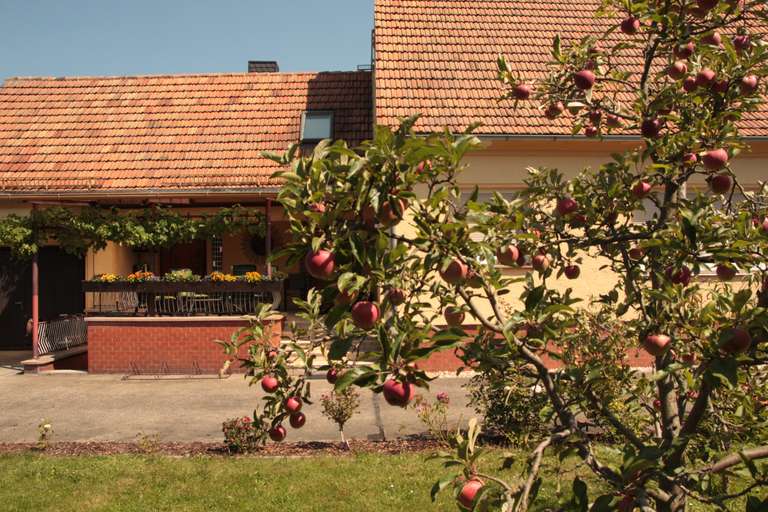 Das Haus vom Garten aus